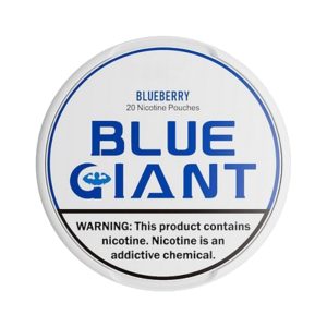 Blue Giant Blueberry